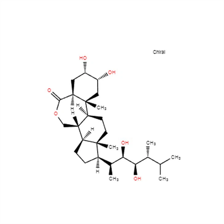 CAS 78821-43-9 | Epibrassinolide